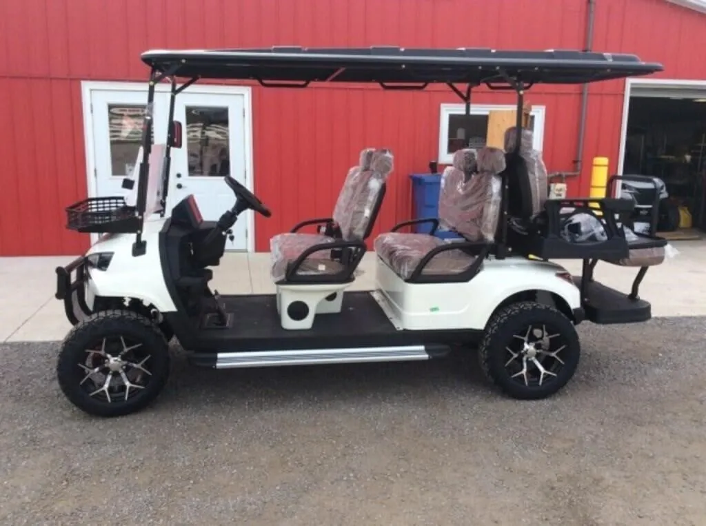 2026 Unused Golf Cart Sdlgc100