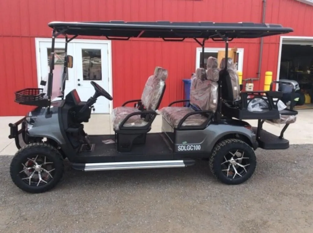 2026 Unused Golf Cart Sdlgc100