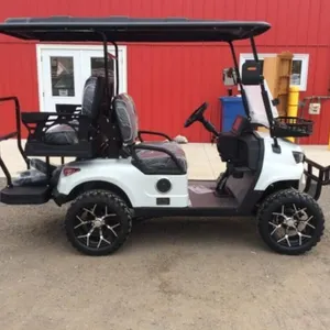 2026 Sdlool Unused Off-road Golf Cart Sl-gc22s