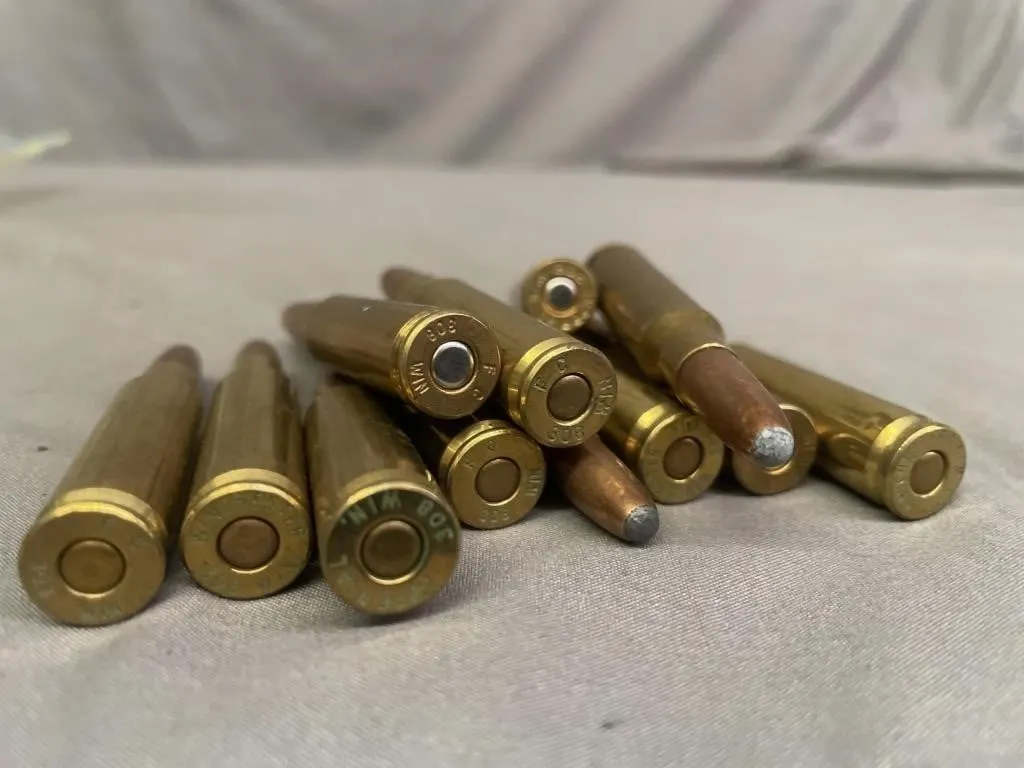 Bag of 12 .308 WIN cartridges. 150 gr. PSP.