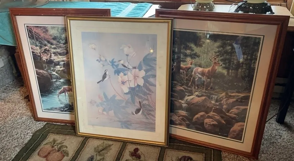 Framed Wildlife & Botanical Art Prints (3)