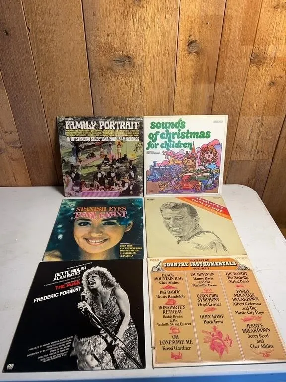 Lot of 6 Assorted Vinyl LP Records