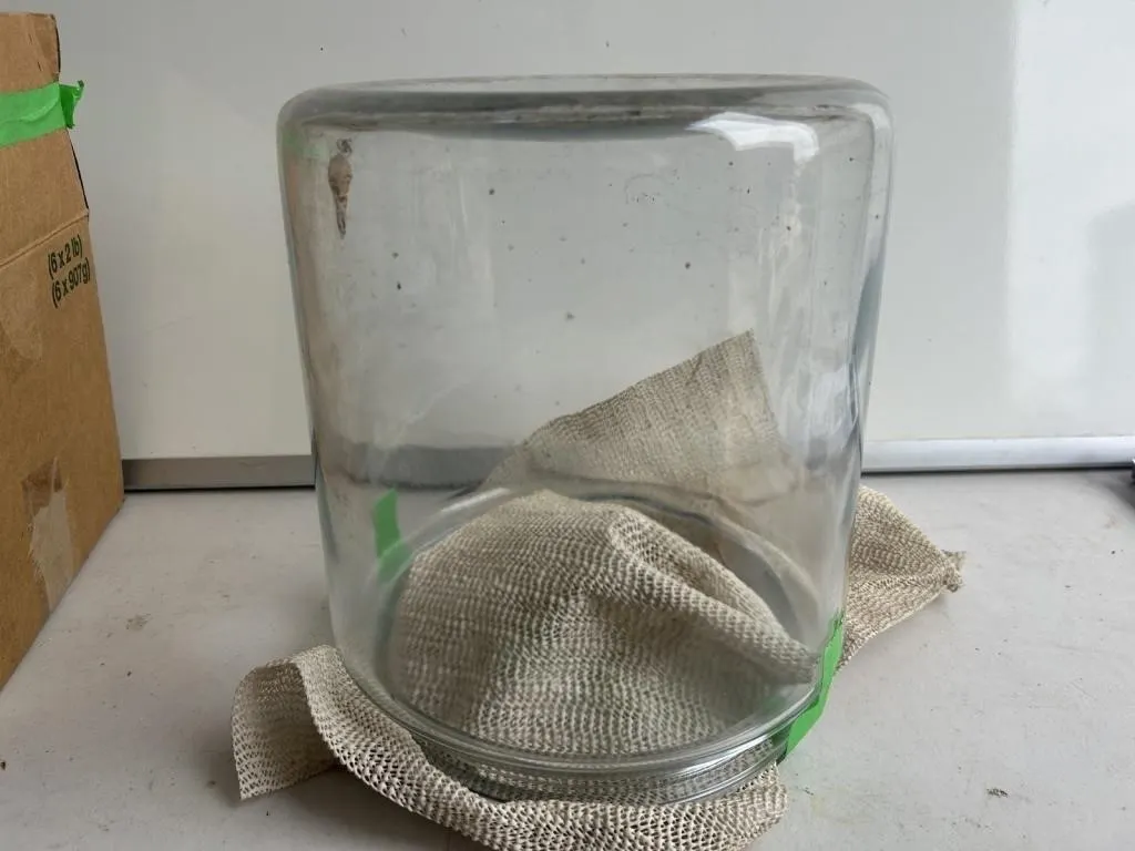 Large Round Glass Vase/Jar