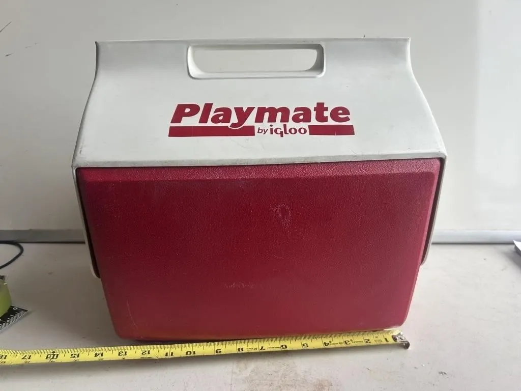Playmate by Igloo Cooler