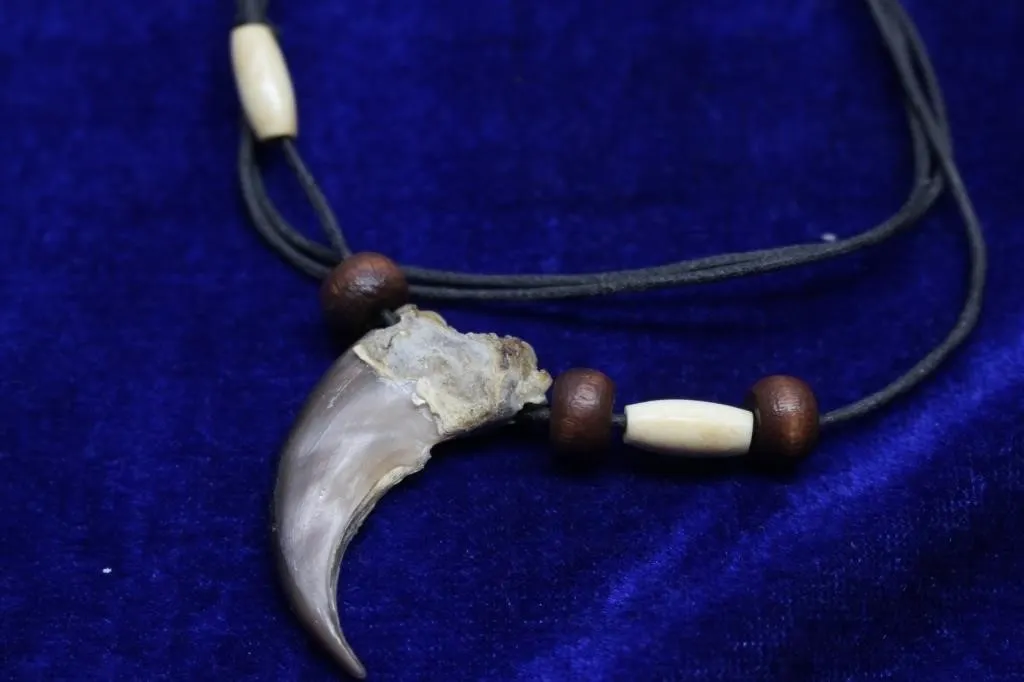 Bear Claw Pendant Necklace with Wood & Bone Beads