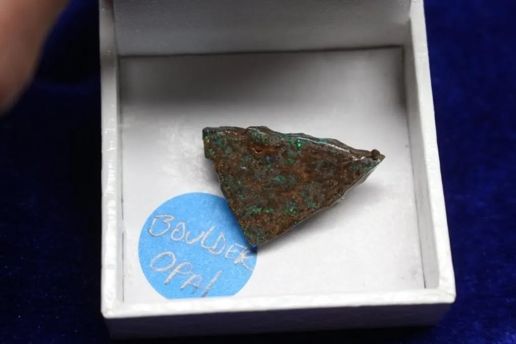 Boulder Opal Specimen Brooch