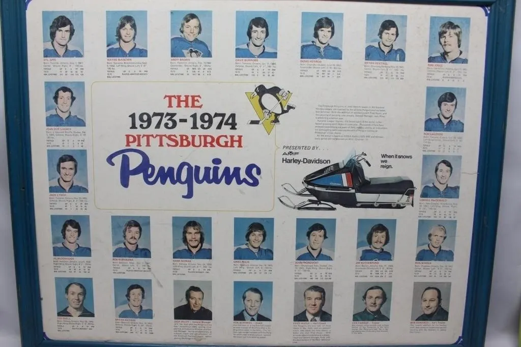 1973-74 Pittsburgh Penguins Team Poster, Framed