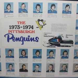 1973-74 Pittsburgh Penguins Team Poster, Framed
