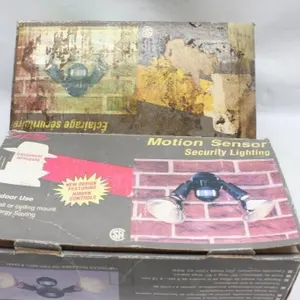 Motion Sensor Security Lighting Fixture (Casbe)