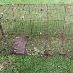 Large Live Trap