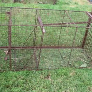 Large Live Trap