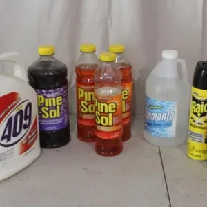 409, Pine-Sol, Insect Spray & Ammonia