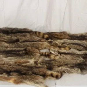8 Tanned Raccoon Fur Pelts