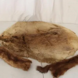 Beaver Tanned Pelt & 2 Mink Tanned Pelts