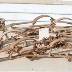 8 Victor #2 1/2 & 4 Dbl. Long Spring Traps & Hooks