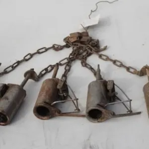 5 Duke Dog Proof Raccoon Traps