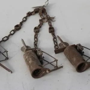 3 Z Trap Dog Proof Raccoon Traps
