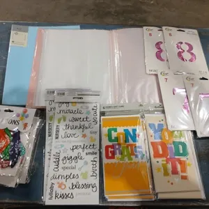 Bundle with file folders w/ Page protectors,