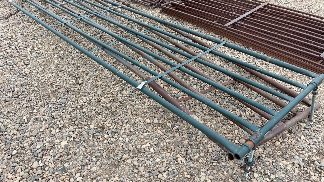2 - Heavy Duty Swing Gate