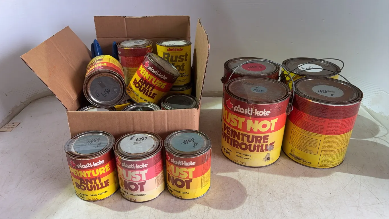 Cans Of Rust Not & Paint Brushes