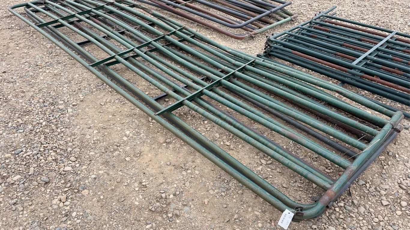 3 - 16' Pipe Gates