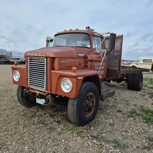 Dodge COE