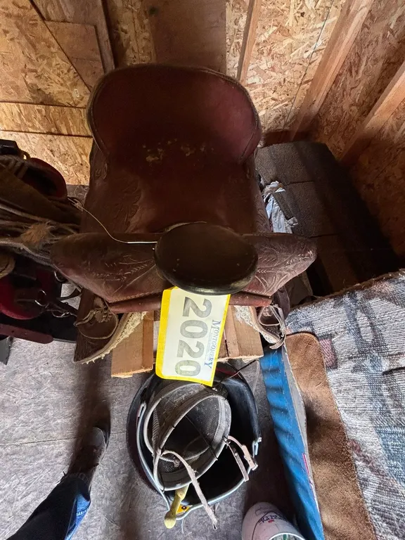 WESTERN PLEASURE SADDLE AND FEED BUCKETS