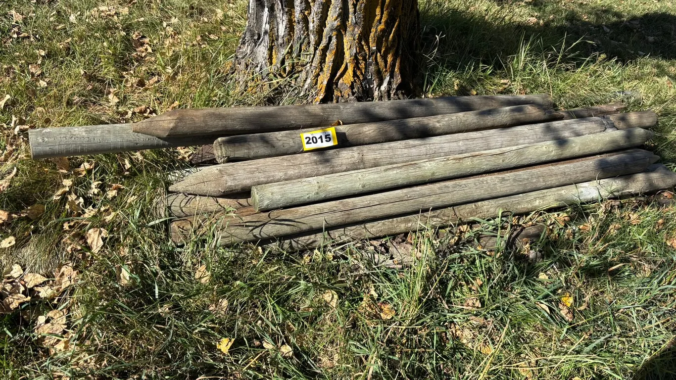 APPROX. (15) 6FT X 3" TREATED FENCE POSTS AND ASSORTED FENCE POSTS