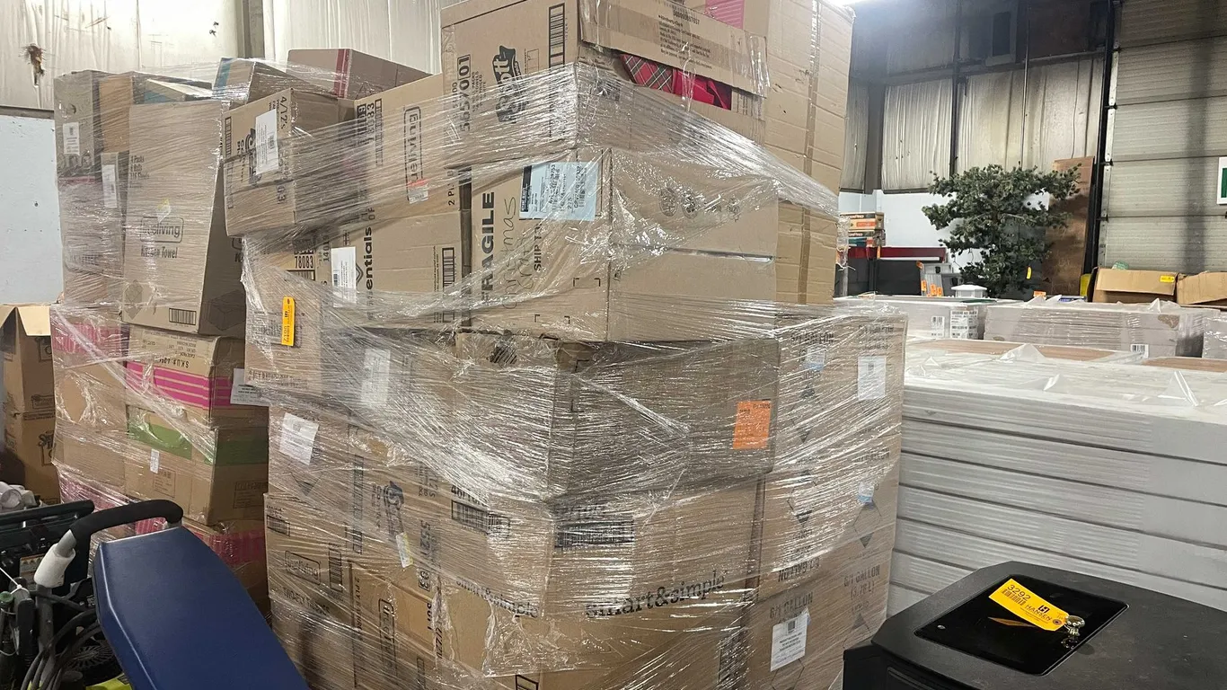 Dollar General Christmas Decor Pallet (B)