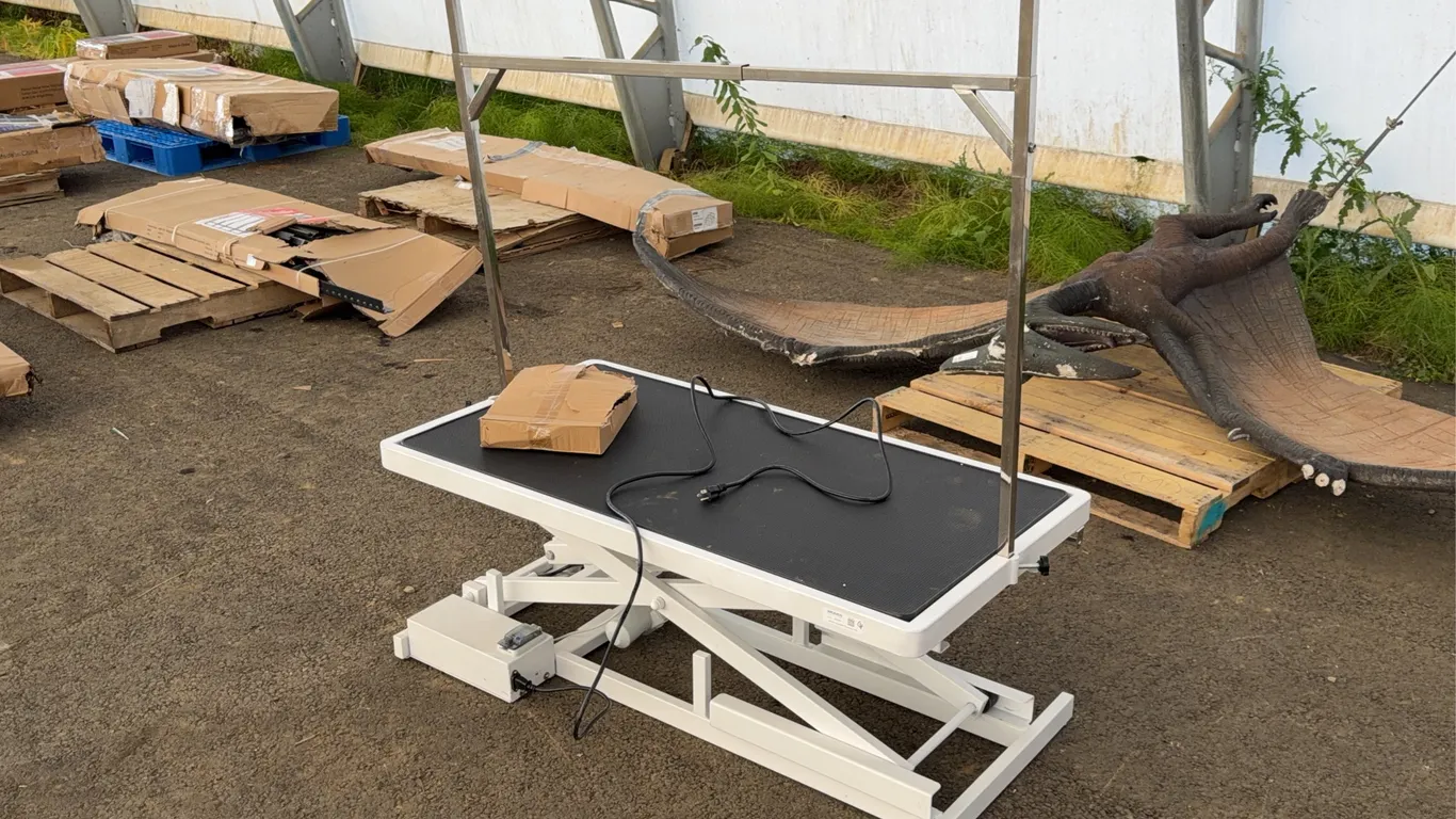 Electric Adjustable Grooming Table