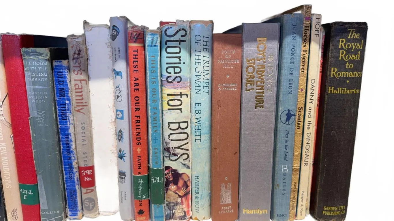 Vintage Children's and Young Adult Books Including Raggedy Ann and Tarzan