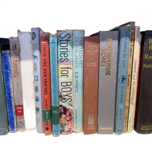 Vintage Children's and Young Adult Books Including Raggedy Ann and Tarzan