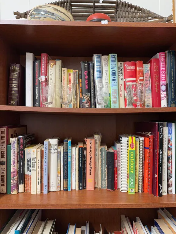 Fiction, Nonfiction, and Reference Books on Bookshelf