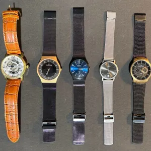 Five Watch Lot: Stührling Automatic Skeleton, Skagen Mesh Stainless Quartz Assortment