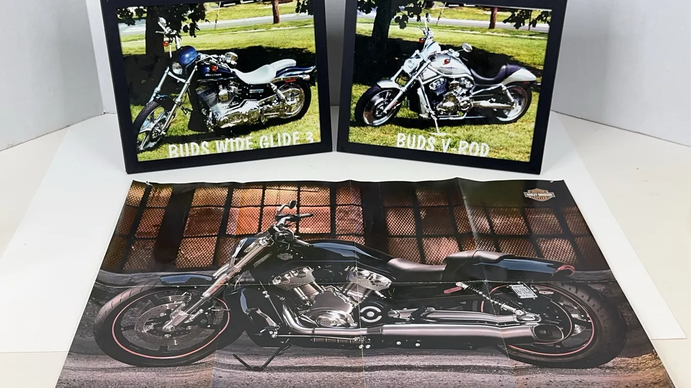 Harley-Davidson 2009 V-Rod Muscle Poster and Framed Motorcycle Photos