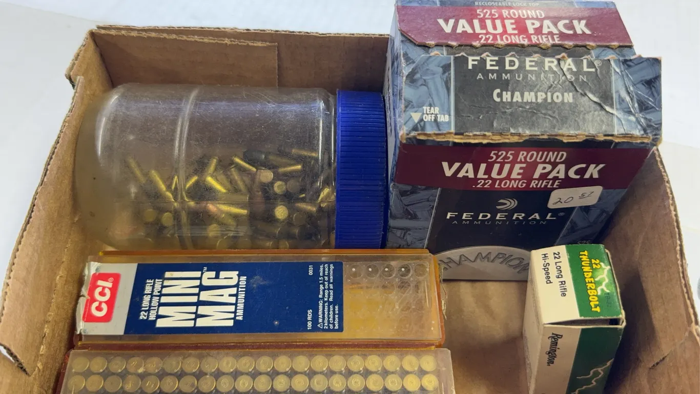 Assorted .22 LR Rimfire Ammunition Lot Federal Remington CCI