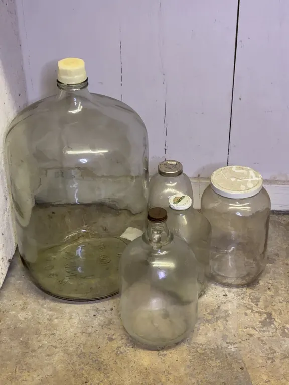 Large Glass Carboy Demijohn and Assorted Beverage Jugs
