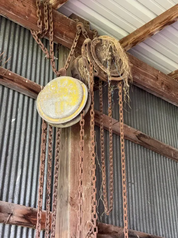 CM Cyclone Model M 1-Ton Manual Chain Hoist