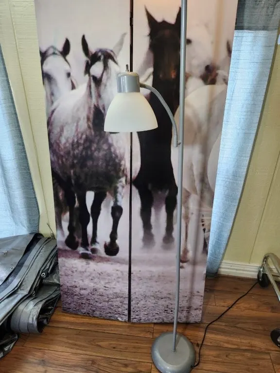 Dressing Screen & Floor Lamp
