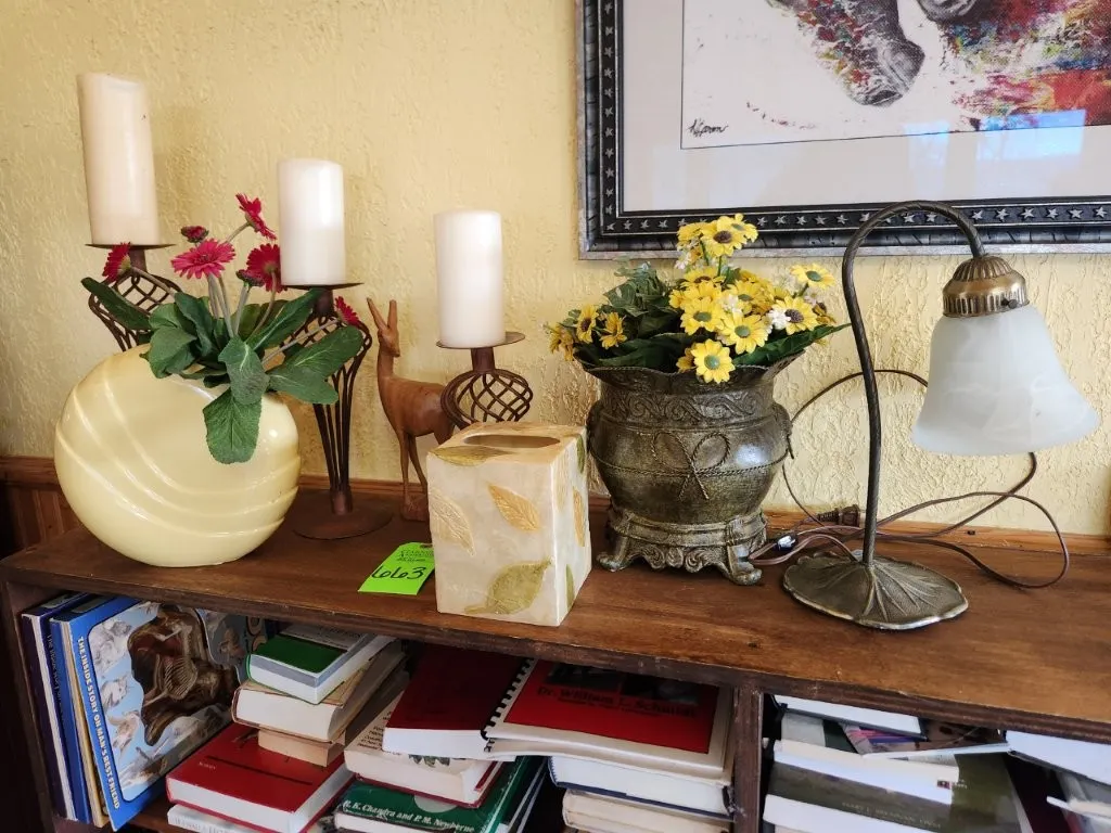 Misc. Decor on Top of Bookshelf