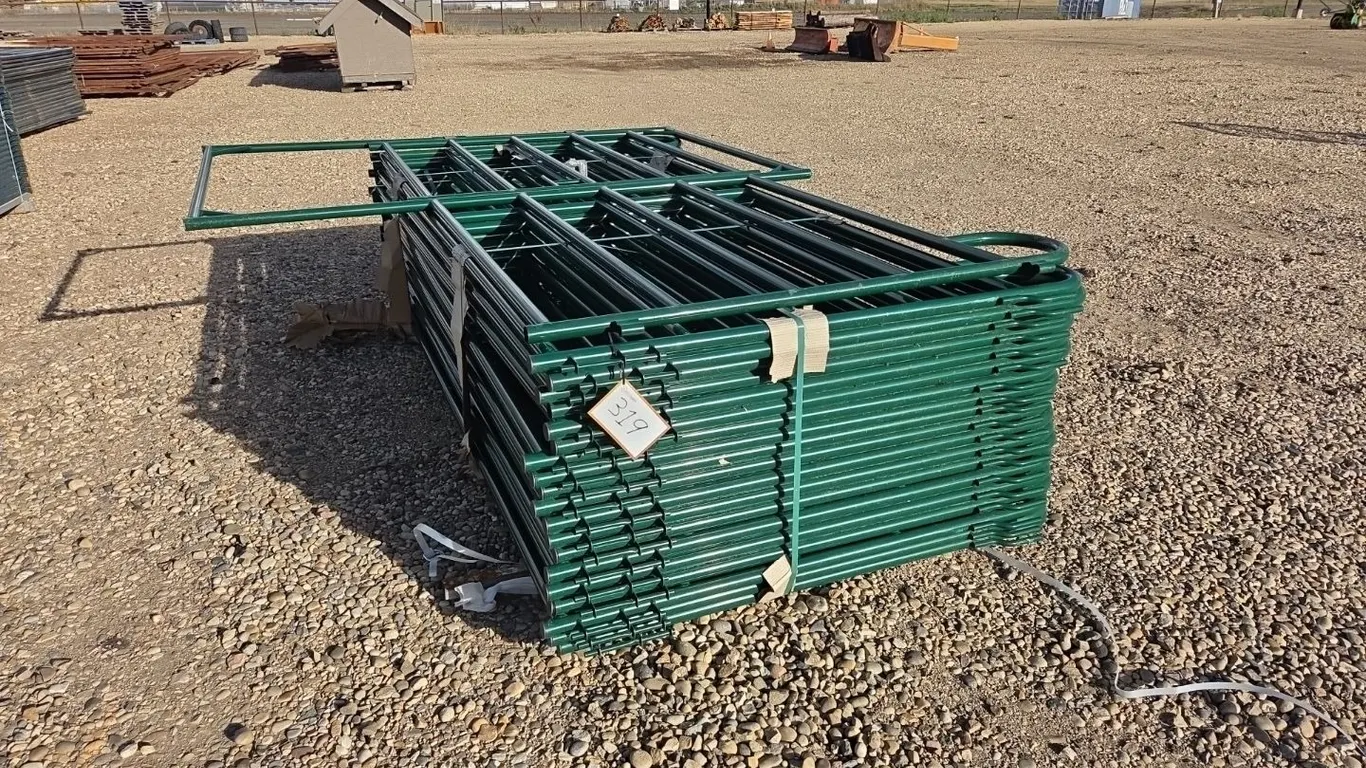 20- 10 Foot Steel Livestock Panels (Unused)