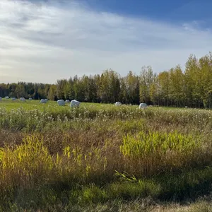Selling the  NW 3-47-4 W5M - Being 157.9 Acres M/L