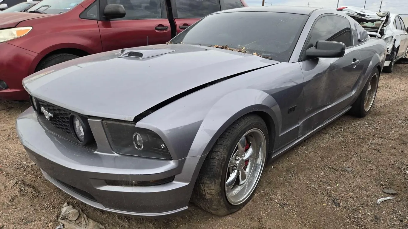 2006 FORD MUSTANG 2D 1ZVHT82H265196642