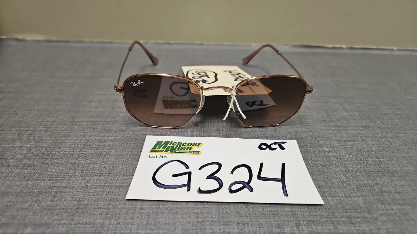 Ray Ban Sunglasses - Qty 1