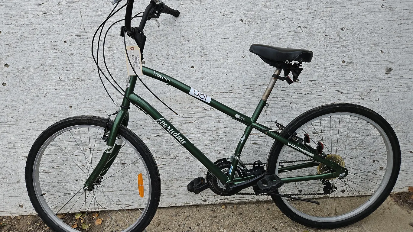 Everday Traveler Bike - Qty 1