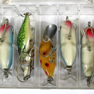 Fishing Lures in Plastic Tackle Box