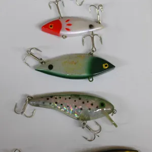 Hard Plastic Fishing Lures, 5 Pieces