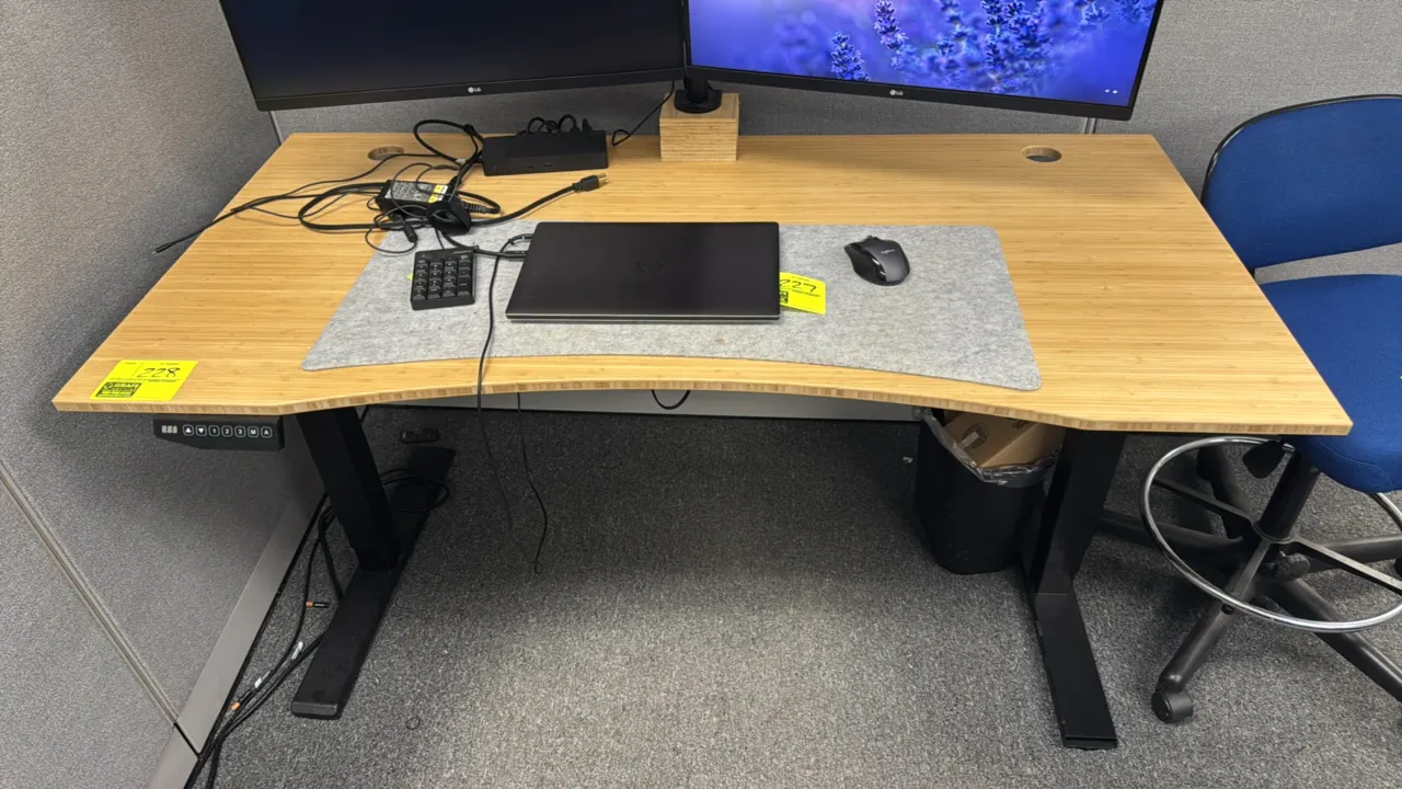 EC385P1U3-1-650/560 electric sit/stand desk. Features a contoured bamboo-style top with dual cord grommets, under-desk wire cable management tray, and