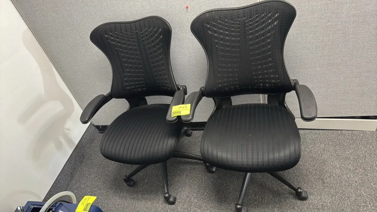 Mesh-back office task chairs. Features black patterned fabric upholstered seats, breathable mesh backs with molded polymer spine support, and armrests