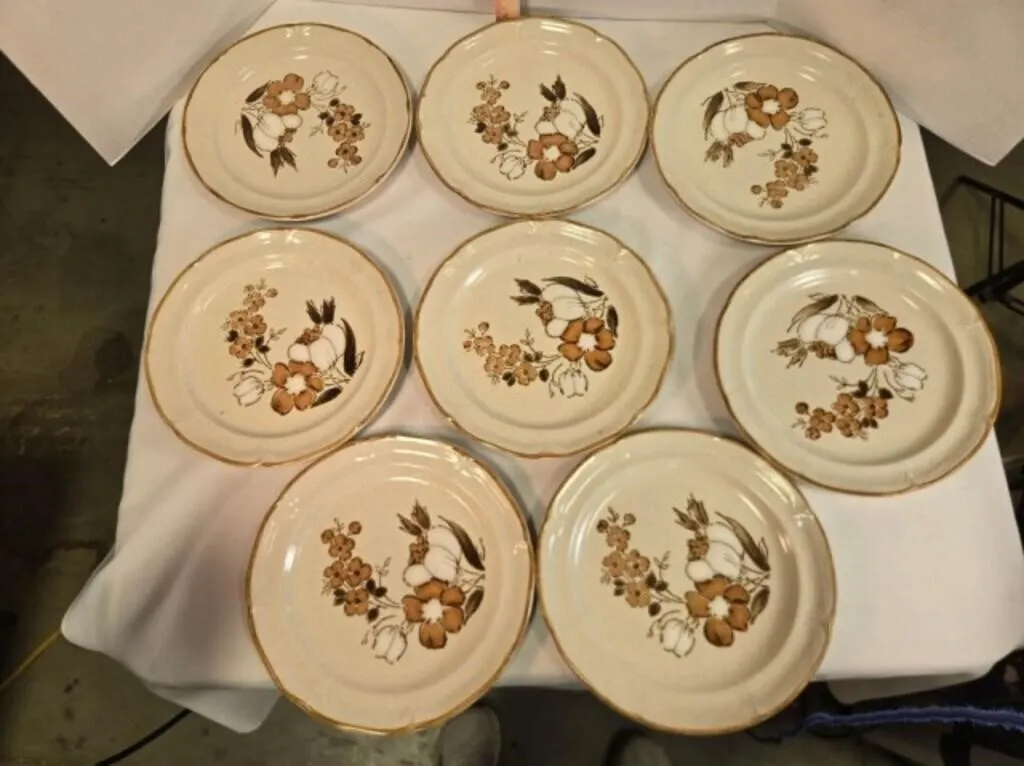8 piece dinner plate setting, Hearthside Stoneware